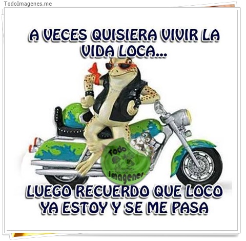 imagen de 1955-20160302-033820