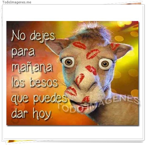 imagen de 2090-20160302-033827