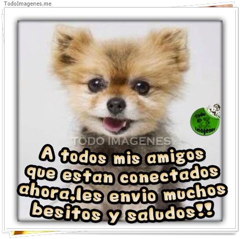 imagen de 3581-20160302-033935