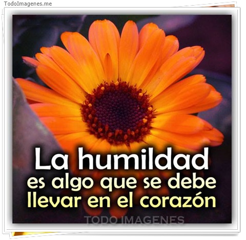 imagen de 7862-20160302-034301