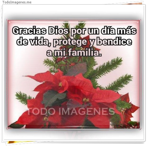 imagen de 10334-20160302-034554