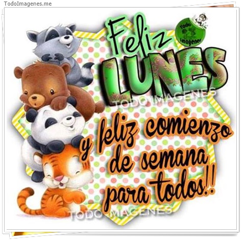 imagen de 336-20160302-033706