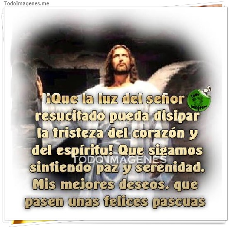 imagen de 058-20160509-130722
