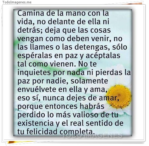 imagen de 6418-20160302-034144