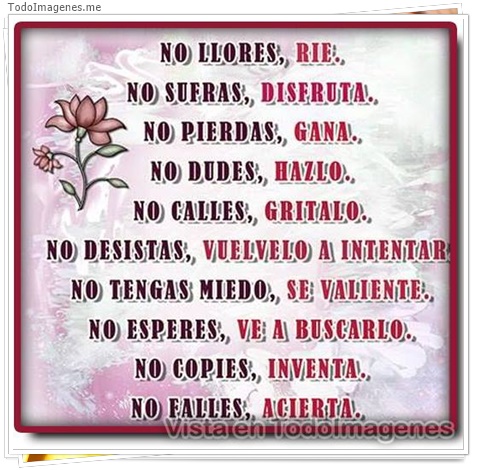 imagen de 11034-20160302-034644