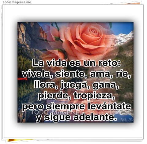 imagen de La vida es un reto: vívela,sienta,ama,ríe,llora,juega,gana,pierde,tropieza,pero siempre levántate y sigue adelante