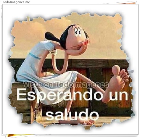 imagen de 407-20160509-130738