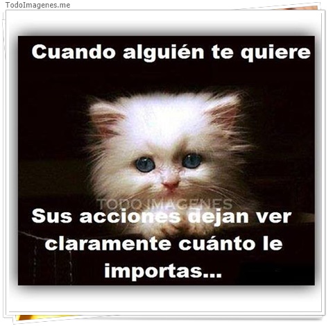 imagen de 8037-20160302-034313