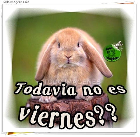 imagen de 3553-20160302-033934