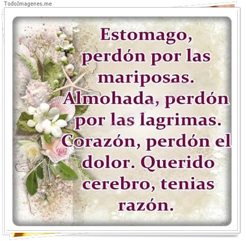 imagen de 4998-20160302-034037