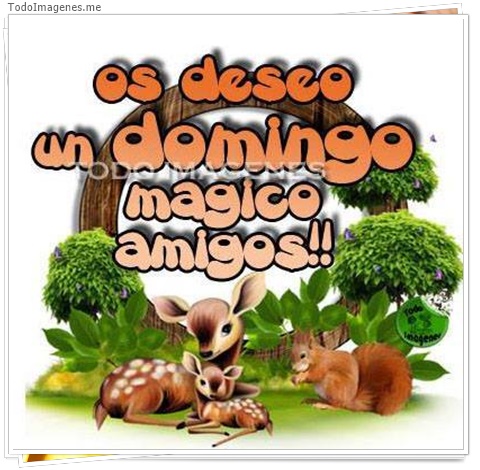 imagen de 7957-20160302-034307