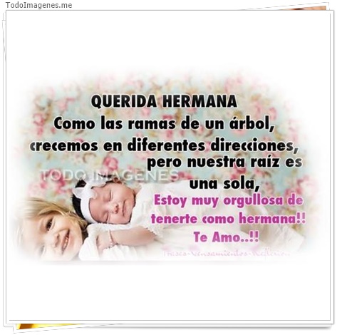 imagen de 4630-20160302-034021