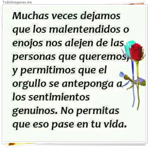 imagen de 3979-20160302-033953