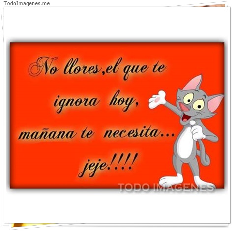 imagen de 4447-20160302-034013