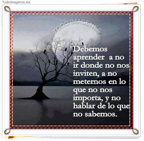 imagen de 5653-20160302-034108