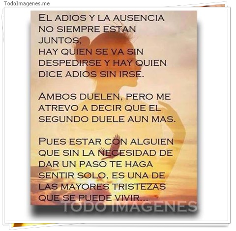 imagen de 9861-20160302-034516