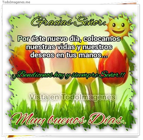 imagen de 9864-20160302-034517