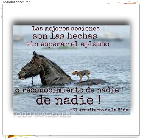 imagen de 3343-20160302-033924