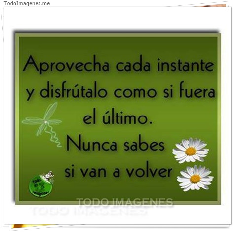 imagen de 8926-20160302-034413