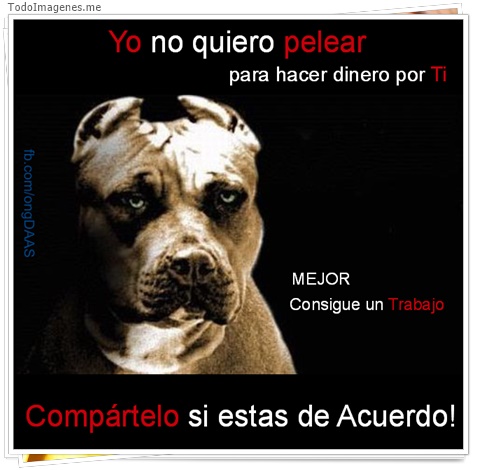 imagen de 539-20160302-033716