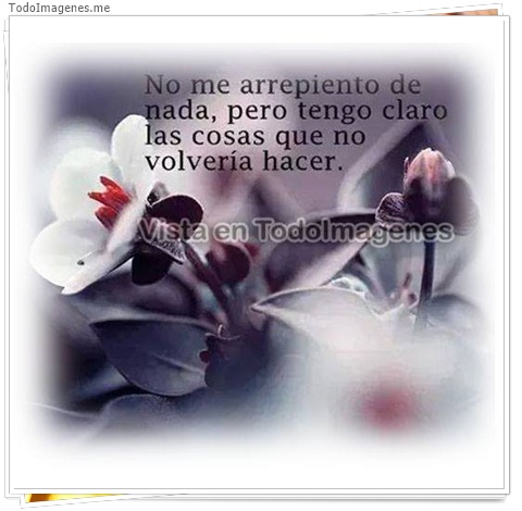 imagen de 10727-20160302-034621