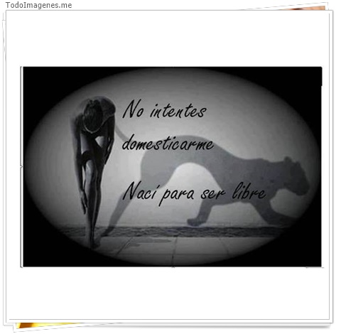 imagen de 4679-20160302-034023