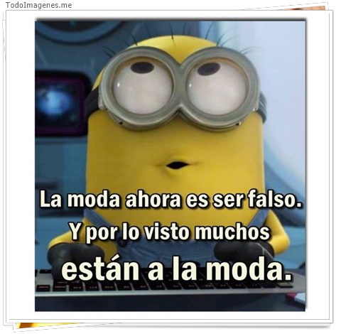 imagen de 2365-20160302-033839