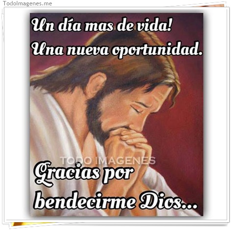 imagen de 218-20160810-120257