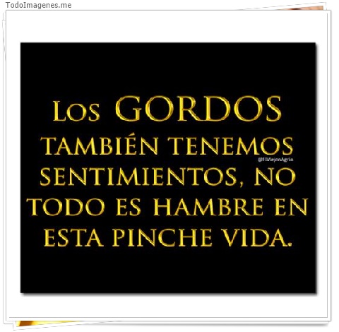 imagen de LOS GORDOS TAMBIEN TENEMOS SENTIMIENTOS, NO TODO ES HAMBRE EN ESTA PINCHE VIDA