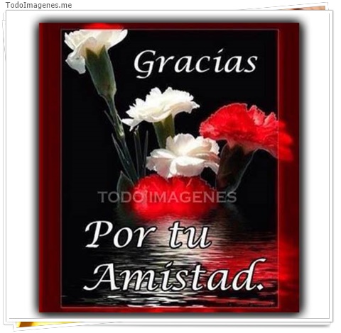 imagen de 9785-20160302-034511