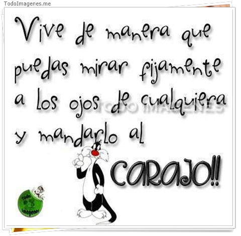 imagen de 3013-20160302-033909