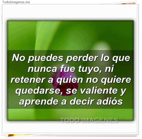 imagen de 7500-20160302-034239
