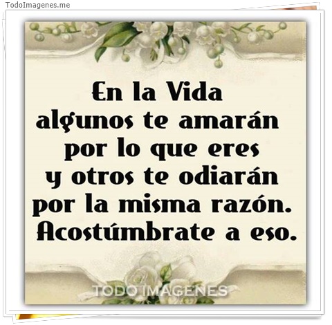 imagen de 3592-20160302-033935