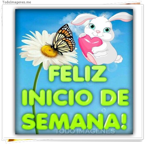 imagen de 1449-20160302-033757