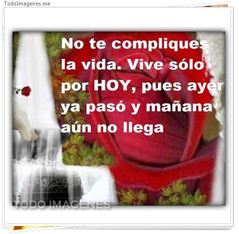 imagen de 9038-20160302-034420