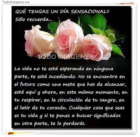imagen de 7948-20160302-034307