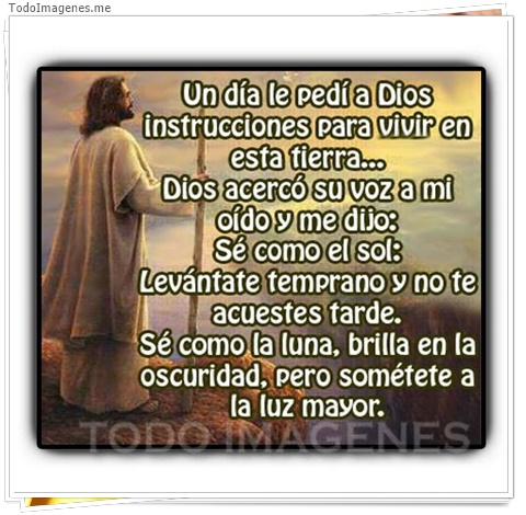 imagen de 2825-20160302-033900
