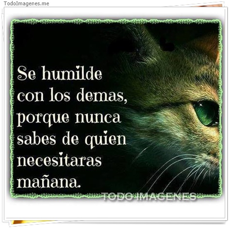 imagen de 5513-20160302-034101