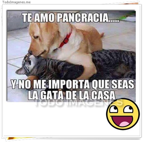 imagen de 612-20160302-033720