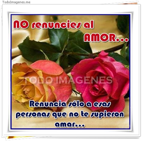 imagen de 2822-20160302-033900
