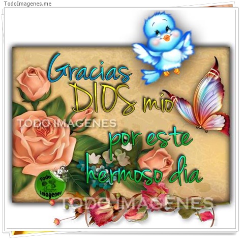 imagen de 11307-20160302-034701