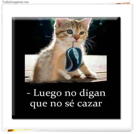 imagen de 3272-20160302-033921