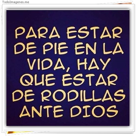 imagen de 5815-20160302-034115