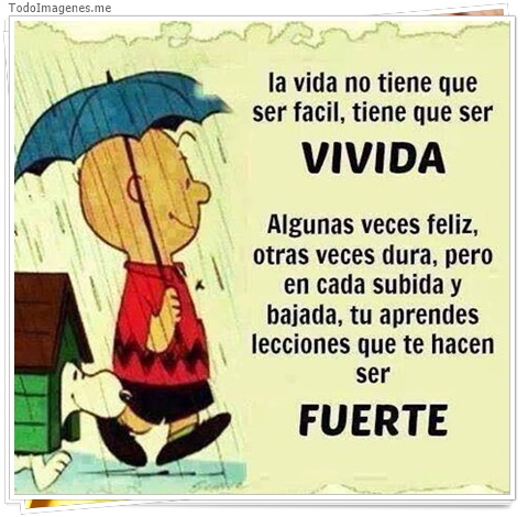 imagen de 2747-20160302-033856