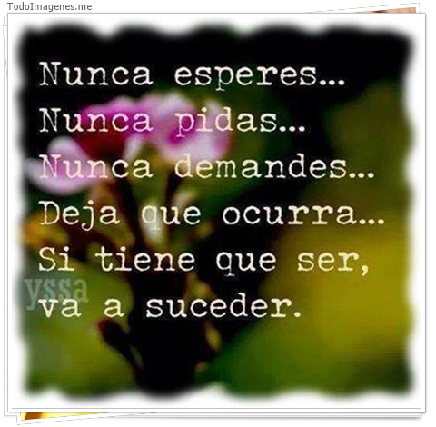 imagen de 2203-20160302-033831