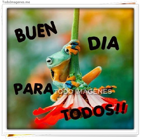 imagen de BUEN DIA PARA TODOS !!