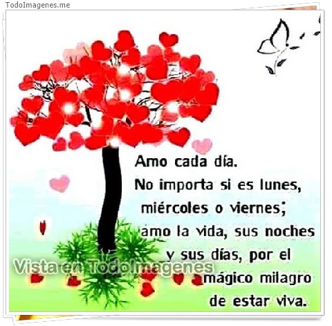 imagen de 103-20160509-130723