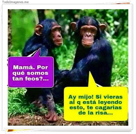 imagen de 2062-20160302-033825