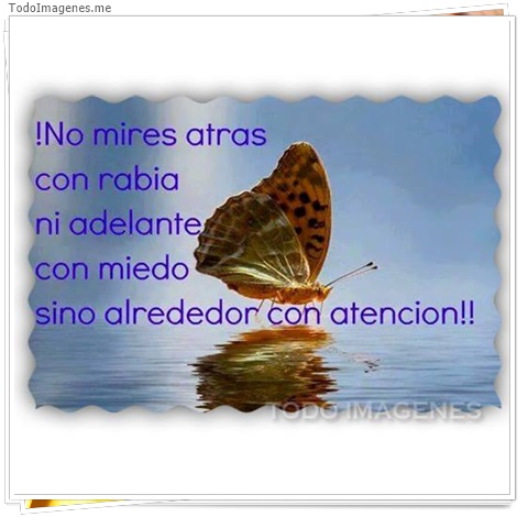 imagen de 5034-20160302-034040
