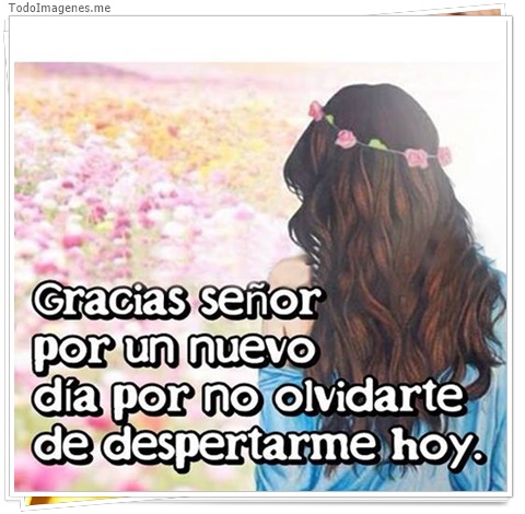 imagen de 4522-20160302-034016